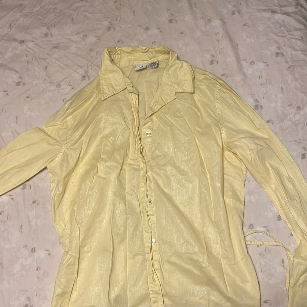 Shimmery blouse
